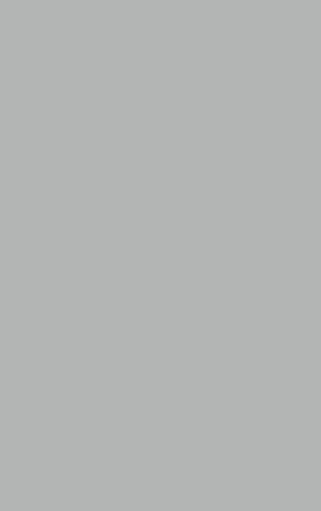 Sandy Anta Ice grey